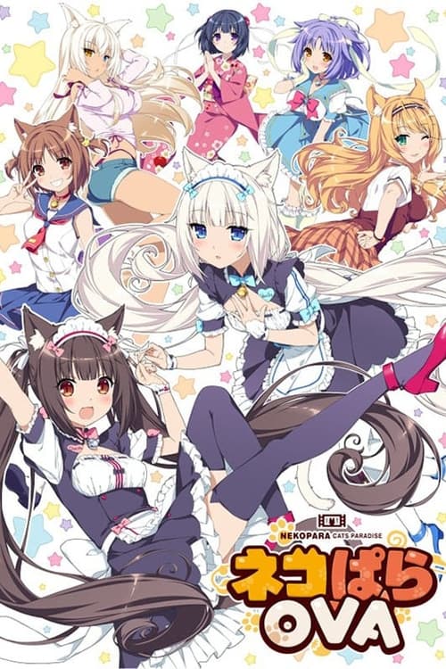 ネコぱらOVA (2017) poster