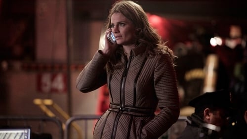 Castle: 6×11