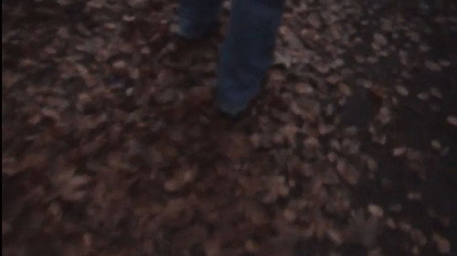 Onderweg Backdrop Blur
