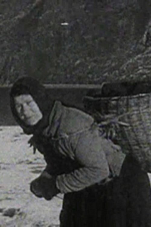 A Crofter's Life in the Shetlands movie poster player