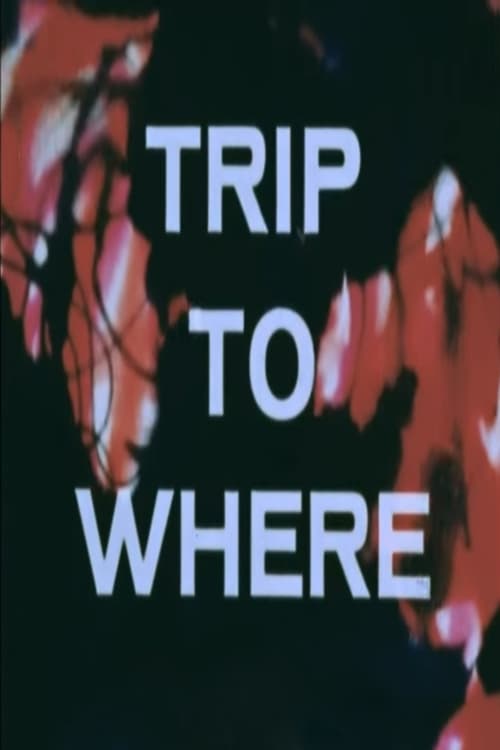 LSD: Trip to Where? (1968) poster