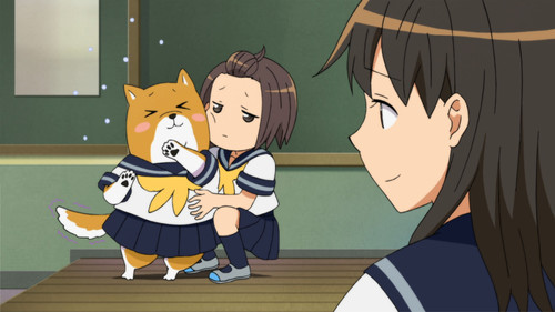 Shiba Inuko-san