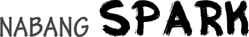 나방스파크