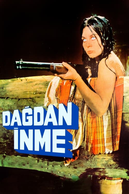 Dağdan İnme (1973) poster