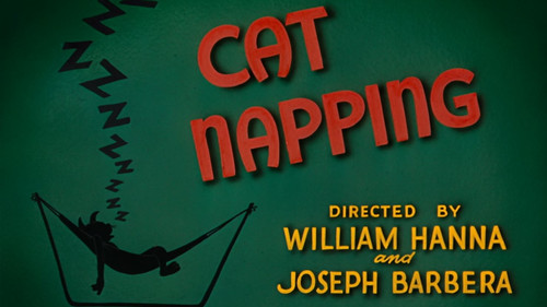 Cat Napping