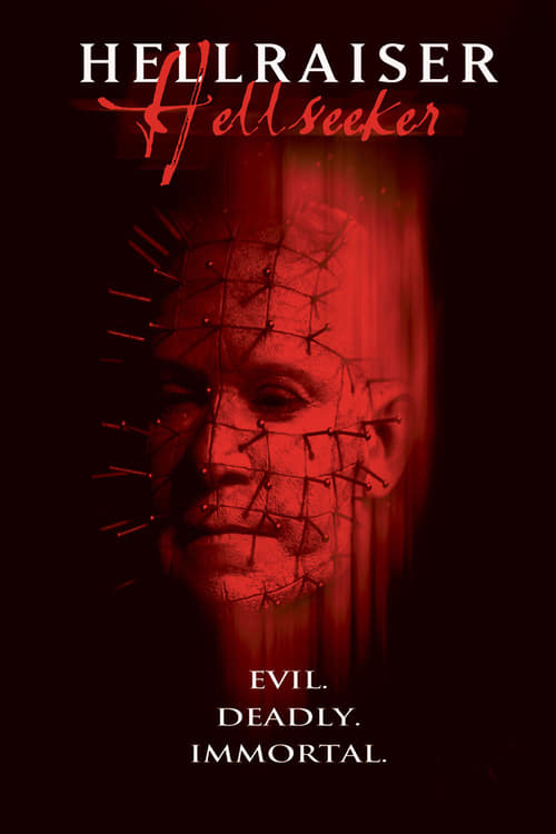 Largescale poster for Hellraiser: Hellseeker