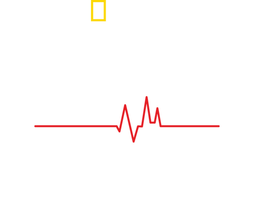 Return From the Dead