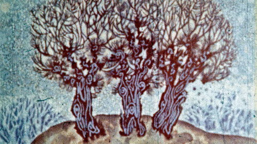 The Old Man's Ice Present