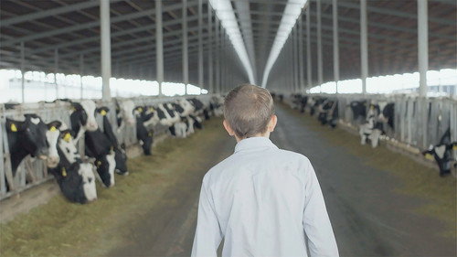 The light that fills the world