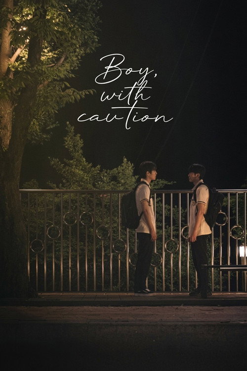 Boy, with caution poster