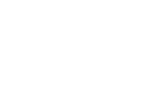 デジモンアドベンチャー tri. 第2章「決意」