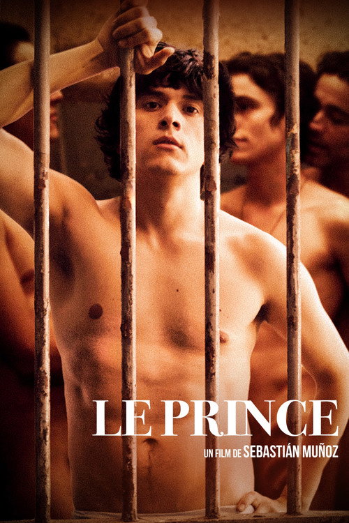 The Prince poster