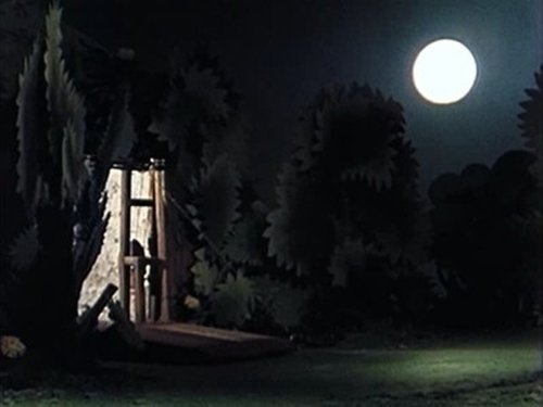 Image de l'épisode 20