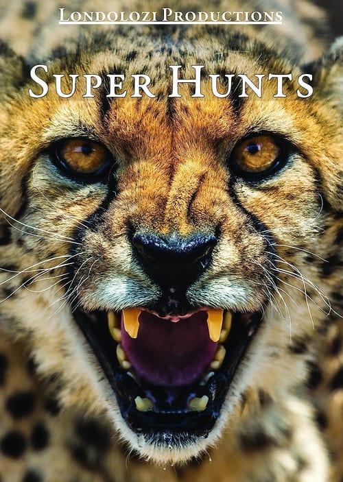 Super Hunts, Super Hunters (1995) poster