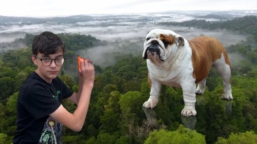 The Killer Dog: The Beast Beneath The Trees