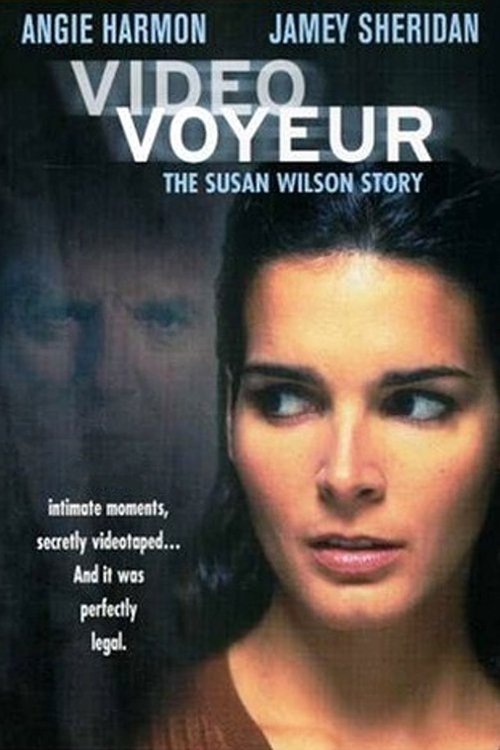 Video Voyeur: The Susan Wilson Story movie poster player