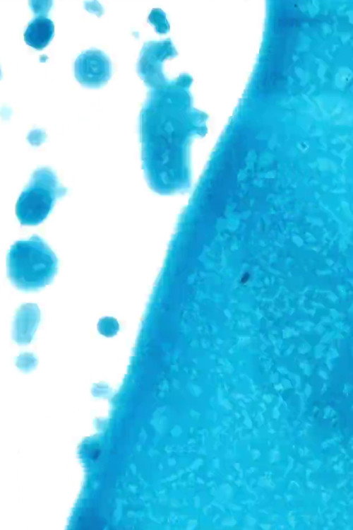 Missing (A Sea of Absence)