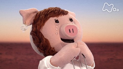 Image de l'épisode 13