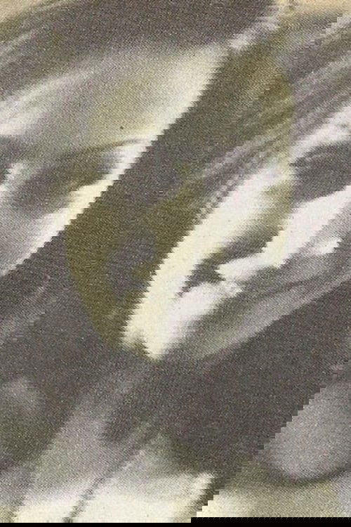 103213