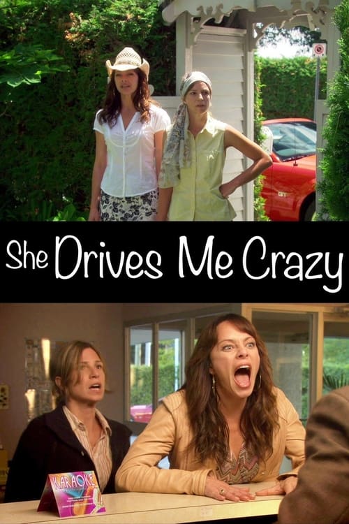 Poster do filme She Drives Me Crazy