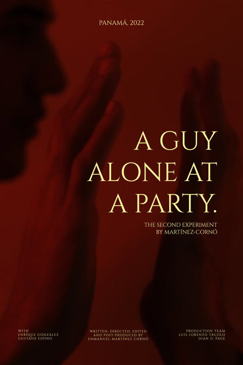 Póster oficial de A guy alone at a party. (2022) - Fantasy