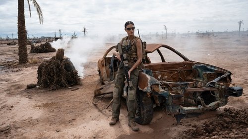 Operação: Lioness: 1×1