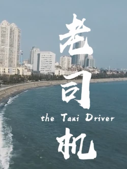 the Taxi Driver (2017)