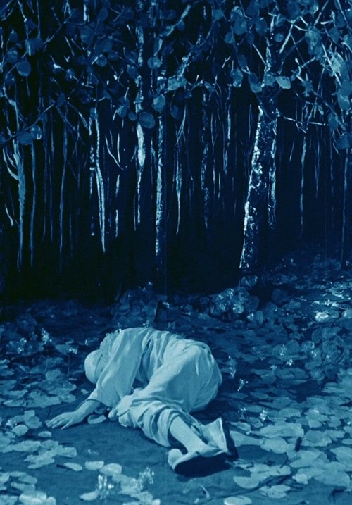 Rabbit's Moon poster