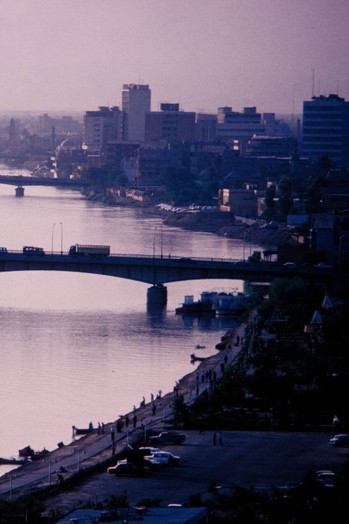 The Way They Looked at Each Other poster