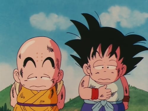 Dragon Ball: 1×18