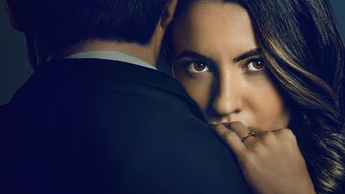 La viuda negra