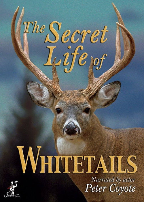 The Secret Life of Whitetails