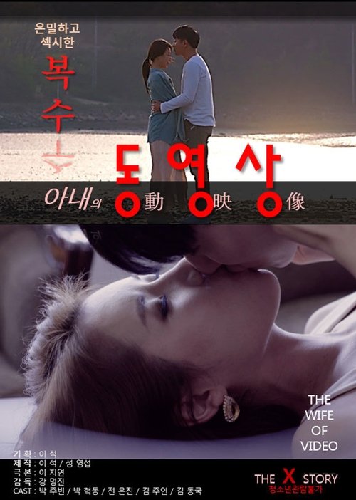 아내의동영상 movie poster player