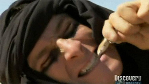 Man Vs Wild 06 Dominican Republic Yify