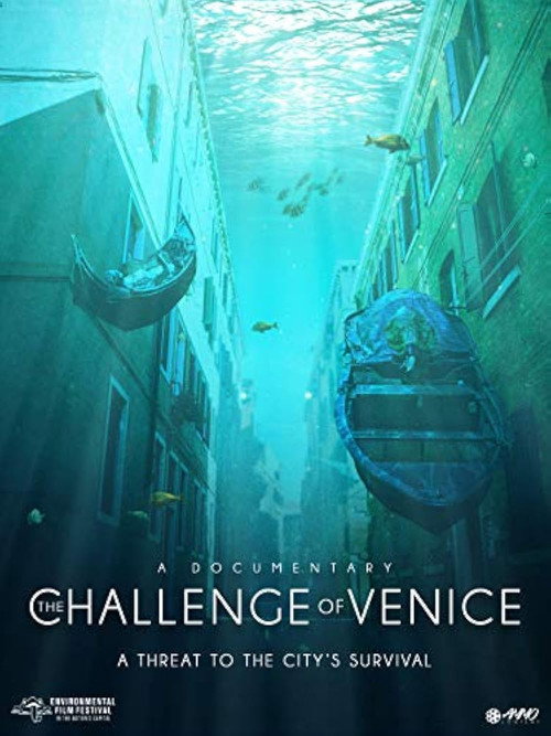 The Challenge of Venice