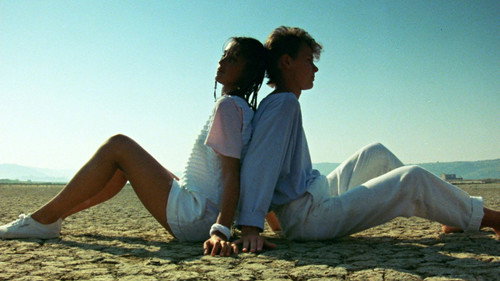 A Summer in a Sea Shell