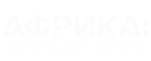 Африка: Дикий дом Земли