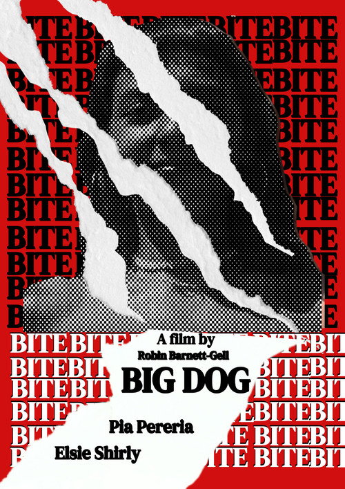 Big Dog
