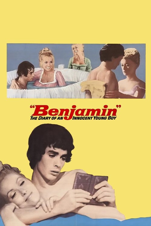 The Diary of an Innocent Boy poster