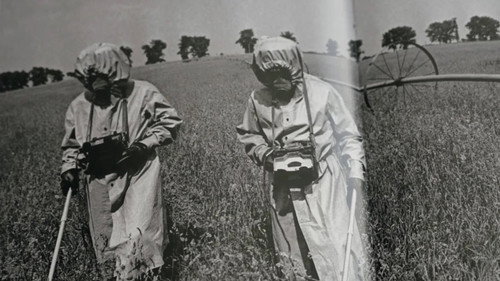 Tchernobyl, un nuage sur la Corse