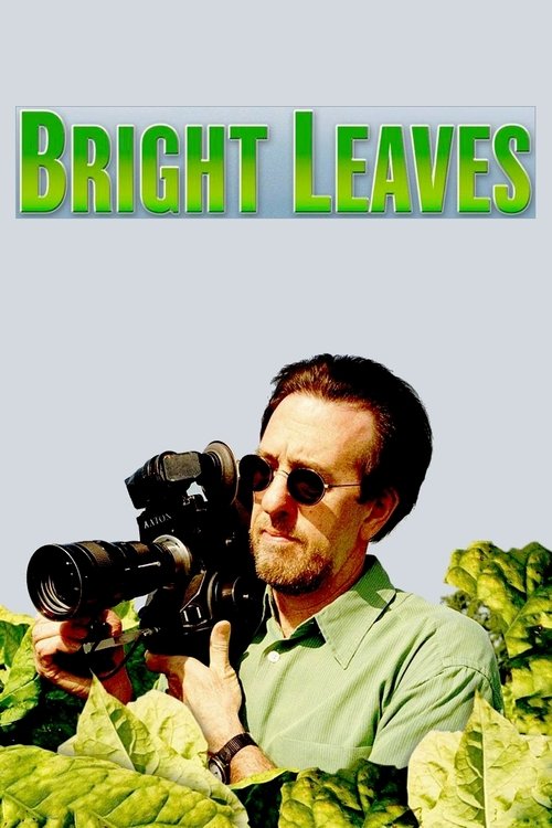 Grootschalige poster van Bright Leaves