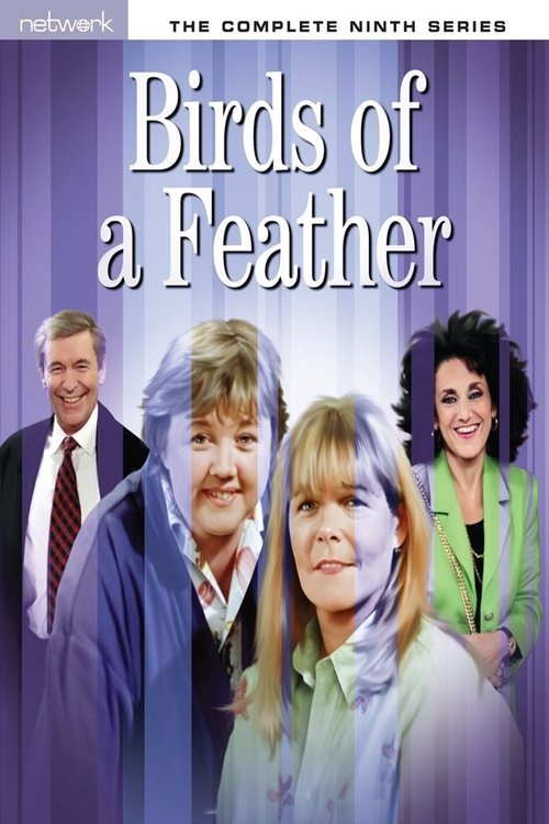 Where to stream Birds of a Feather Season 9