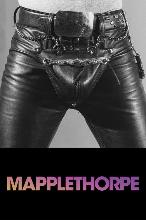 Mapplethorpe 2018