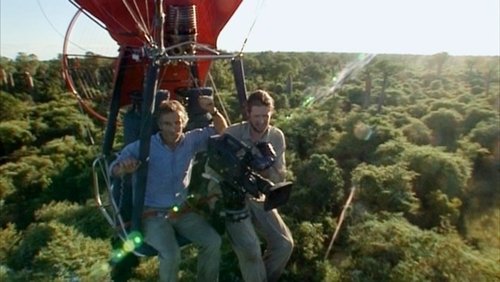 Diaries - Forest Fliers