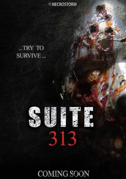 Suite 313 2017