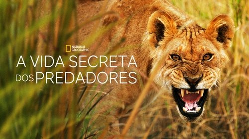 Secret Life of Predators