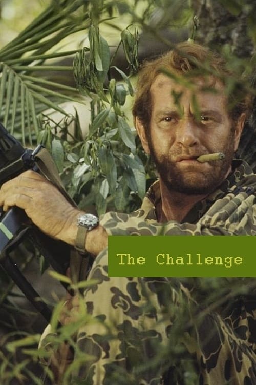 Poster do filme The Challenge