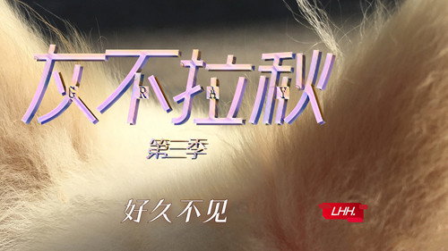 灰不拉秋 Backdrop Blur