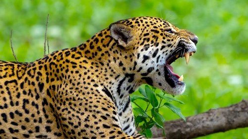 Image de l'épisode 6