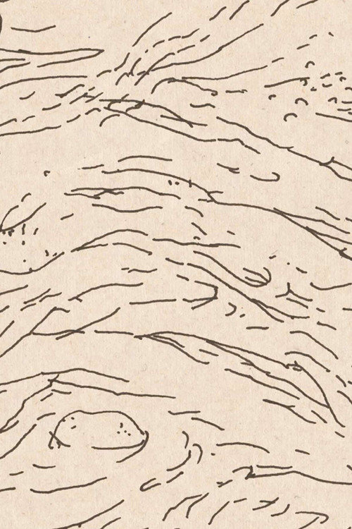 Peel